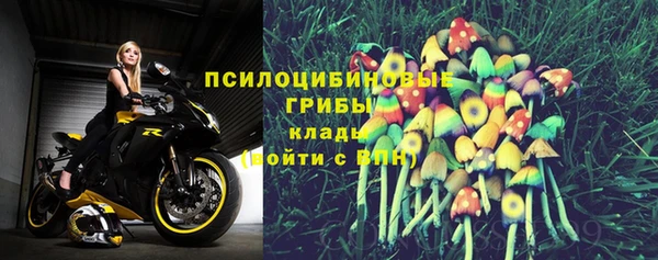 хмурый Ладушкин