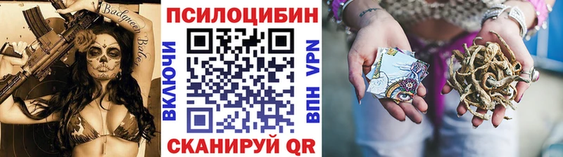 купить  цена  Микунь  Псилоцибиновые грибы GOLDEN TEACHER 